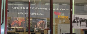 Photograph of the vinyl lettering to teach students about the 136000 horses sent to World War 1 and only 1 returned.