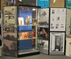 General view of the display wall at the front of the library including the display cabinet.